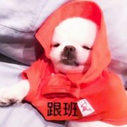 一人一张高清智障又可爱的情头图片