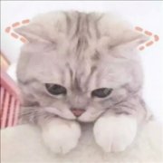 情侣创意一左一右可爱头像图片
