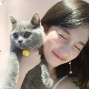 微信美女抱猫头像唯美时