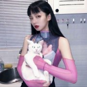 高冷抱猫优质女生头像混