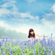 唯美薰衣草女孩图片qq头
