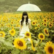 清新带向日葵的女生头像