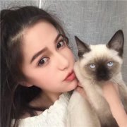 qq头像女生抱着猫咪温柔