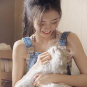 qq女生头像抱猫咪清新干