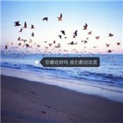 清新带字qq头像风景图片