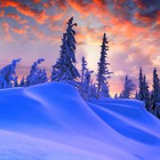 qq唯美雪景头像图片