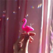 唯美清新转运图片头像大全