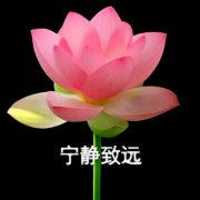 高清带四个字的莲花头像