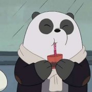 可爱咱们裸熊头像高清图片大全