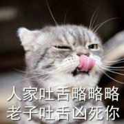 超可爱猫咪带字头像大全