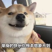 单身狗头像搞笑带字图片