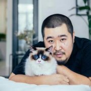 宋冬野抱猫头像图片