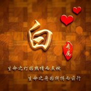 正能量微信头像姓氏大全
