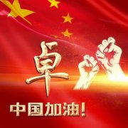 2025中国加油姓氏头像