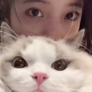 头像情侣对象是猫 高清可