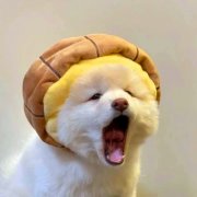 超火好看适合学生用的可爱头像图片