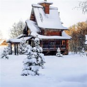 深山老林的雪景风光头像