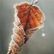 唯美霜雪风景头像图片