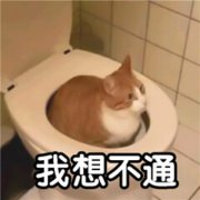 又emo又沙雕的头像 可爱委屈既emo又沙雕的头像图片