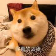 沙雕网红图片大全 有趣