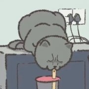 冷门却很高级的情头106张