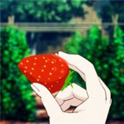 创意草莓闺蜜情侣头像图
