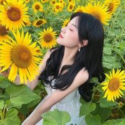 女生风景头像时尚唯美高