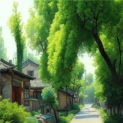 家乡美丽的风景头像好看
