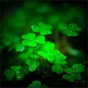 春意盎然的头像109张 唯