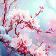 傲雪寒梅头像高清图片 唯美适合做微信头像的梅花