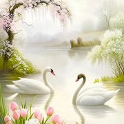 唯美天鹅一对在水里的图