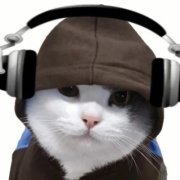 2025可爱好看的头像猫咪图片