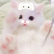 2025最火可爱萌图头像