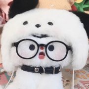 2025高清很好看小可爱的