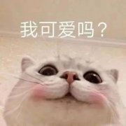 聊天必备100张表情包头像