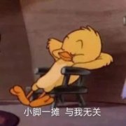 2025表情包最火头像图片