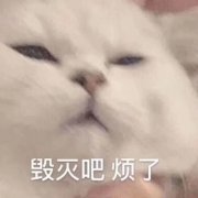 2025微信表情包可爱搞笑