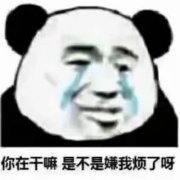 2025年最火表情包