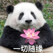 2025表情包搞笑沙雕头像