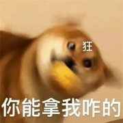 表情包图片大全2025