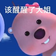 适合当头像的表情包高清