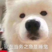2025年最火的表情包头像