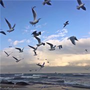 风景2025年最新版图片