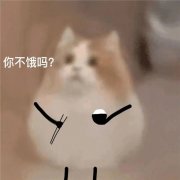 简单可爱的表情包头像图片
